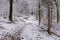 Beautiful snowy forest, wintertime walk in Polish mountains