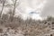 Beautiful snowy forest, wintertime walk in Polish mountains