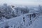 Beautiful snowy landscape. Snow and rime ice on the branches of bushes. Frosty road and wooden fence. Winter background