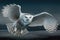 Beautiful Snowy Owl Picture set. taking flight, prey in the snow, spreading its wings and more.