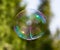 Beautiful soap bubbles fly in the nature