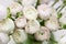 Beautiful soft pink spring flowers closeup. Pink Ranunculus in a vase