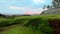 Beautiful soft pink sunset sky against green reef with seaweeds. Peaceful natural background with exotic landscape with