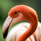 Beautiful solitary flamingo - ai generated image