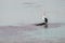 Beautiful solitary pelican on an isolated rock in the middle of the sea, Penneshaw, Kangaroo Island, Southern Australia