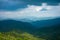 A beautiful and soothing landscape of mountains covered in clouds and green trees during winters