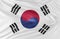 Beautiful South Korea Flag Wave Close Up on banner background with copy space.,3d model and illustration