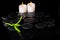 Beautiful spa background of green branch bamboo and candles on z