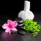 beautiful spa background of pink hibiscus flower, leaf fern, thai herbal compress ball and stones with drops, closeup