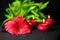 Beautiful spa background of red hibiscus flower, bamboo and cand