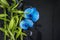 Beautiful spa composition: blue orchid flowers and green bamboo stems on the wet black massage stones and slate background