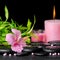 beautiful spa composition of pink hibiscus flower, twigs bamboo, pearl beads and candles on zen basalt stones with dew, closeup