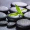 Beautiful spa concept of green branch bamboo on zen basalt stone