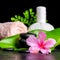 Beautiful spa concept of pink hibiscus flower, leaves, thai herb