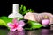 Beautiful spa concept of pink hibiscus flower, leaves, thai herb