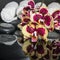 Beautiful Spa concept of zen stones, blooming twig orchid, phalaenopsis with drops, white towels and reflection on water