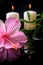 Beautiful spa setting of delicate pink hibiscus, green tendril