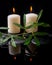Beautiful spa setting of green tendril passionflower, candles