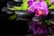 Beautiful spa setting of stripped lilac orchid (phalaenopsis)