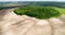 Beautiful space landscape. Aerial view of mystical green trees island on a field