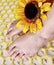 A beautiful sparkling sunflower on top of beautiful manicured bare feet
