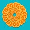 Beautiful spiral pattern of orange slices on a turquoise background. Top view, flat lay