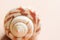 Beautiful spiral white sea shell with striped pattern on light pastel peachy pink background. Minimalist trendy styled image