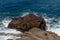 Beautiful Spitting Cave of Portlock vista on Oahu