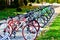 Beautiful sporty mountain multicolored bicycles for recreation and sport are parked in a row . Belarus, Minsk, September 12, 2018