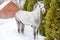 Beautiful spotted gray horse stands near the fir