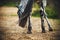 A beautiful spotted horse with a long tail fluttering in the wind stands in a sawdust paddock and eats grass on a summer day. The