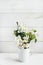 A beautiful sprig of an apple tree with white flowers in a cap against a white wooden background. Blossoming branch in a