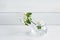 A beautiful sprig of an apple tree with white flowers in a glass vase against a white wooden background. Blossoming