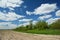 Beautiful spring agriculture landscape with corn growing on the first leaf corn sprout stage and wilderness area, meadow