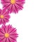 Beautiful spring background with paper cut flowers