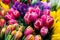 Beautiful spring bouquets of flowers, tulips, background