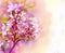 Beautiful spring floral background