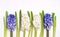 Beautiful Spring Flower Background Blue and White Hyacinths White Background Top View Spring Easter Holiday Card Long