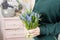 Beautiful spring flower bouquet. Delicate female hands holding a holds blue muscari flowers. Pink chest of drawers in