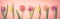 Beautiful Spring Flowers Background Bunch of Tulip Flowers Pink Background Top View Long Toned