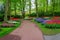 Beautiful spring flowers in Keukenhof park in Netherlands