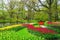 Beautiful spring flowers near pond in Keukenhof park in Netherlands