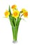 Beautiful spring flowers in vase: orange narcissus (Daffodil)