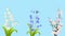 Beautiful Spring Flowers White Lily Of The Valley, Blue Bluebell and Pink Sakura Animation with Alpha Chanel For Greeting, Wedding