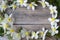 beautiful spring flowers with yellow and white daffodils and other place for text. top view
