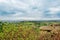 Beautiful spring froggy landscape in Tuscany