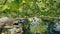 Beautiful spring lake and forest. Springtime season Abstract natural background. Blurry silhouettes of many green spring