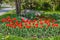 Beautiful spring landscape: blooming tulips in the city park