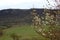 Beautiful spring landscape, blooming young trees on the background of hills