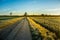 A beautiful spring landscape with a gravel road. Springtime scenery of an old road